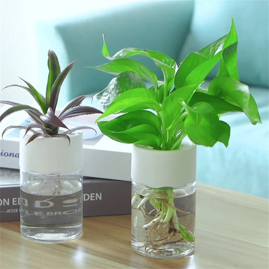 Mini Hydroponic Flower Pot Home Vase Decor Transparent Imitation Glass Soilless Plant Pots Green Plants Pot For Home Decoration 