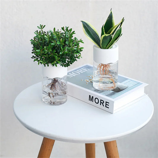 Mini Hydroponic Flower Pot Home Vase Decor Transparent Imitation Glass Soilless Plant Pots Green Plants Pot For Home Decoration 